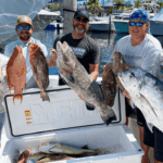 Perfect Snorkel Charter in Dry Tortugas